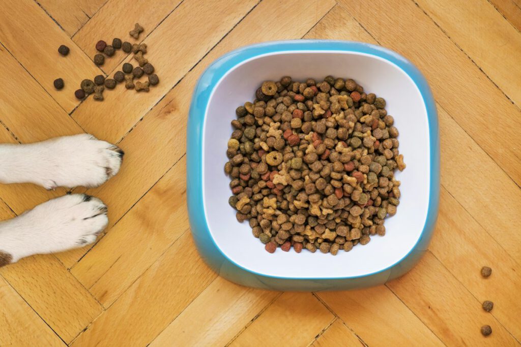 Canine & Feline Custom Nutrition Planning